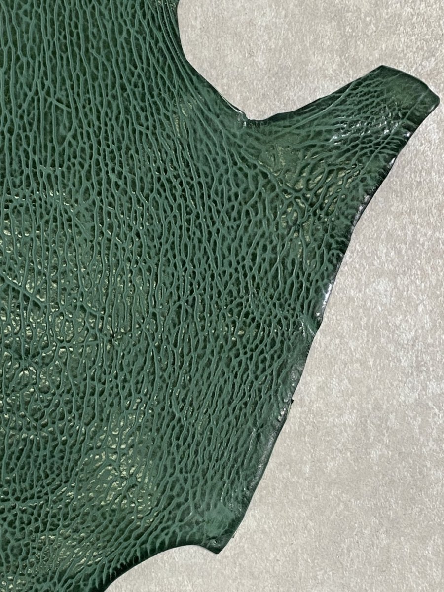 画像5: ケープシール　グリーン　オットセイ革 (5)