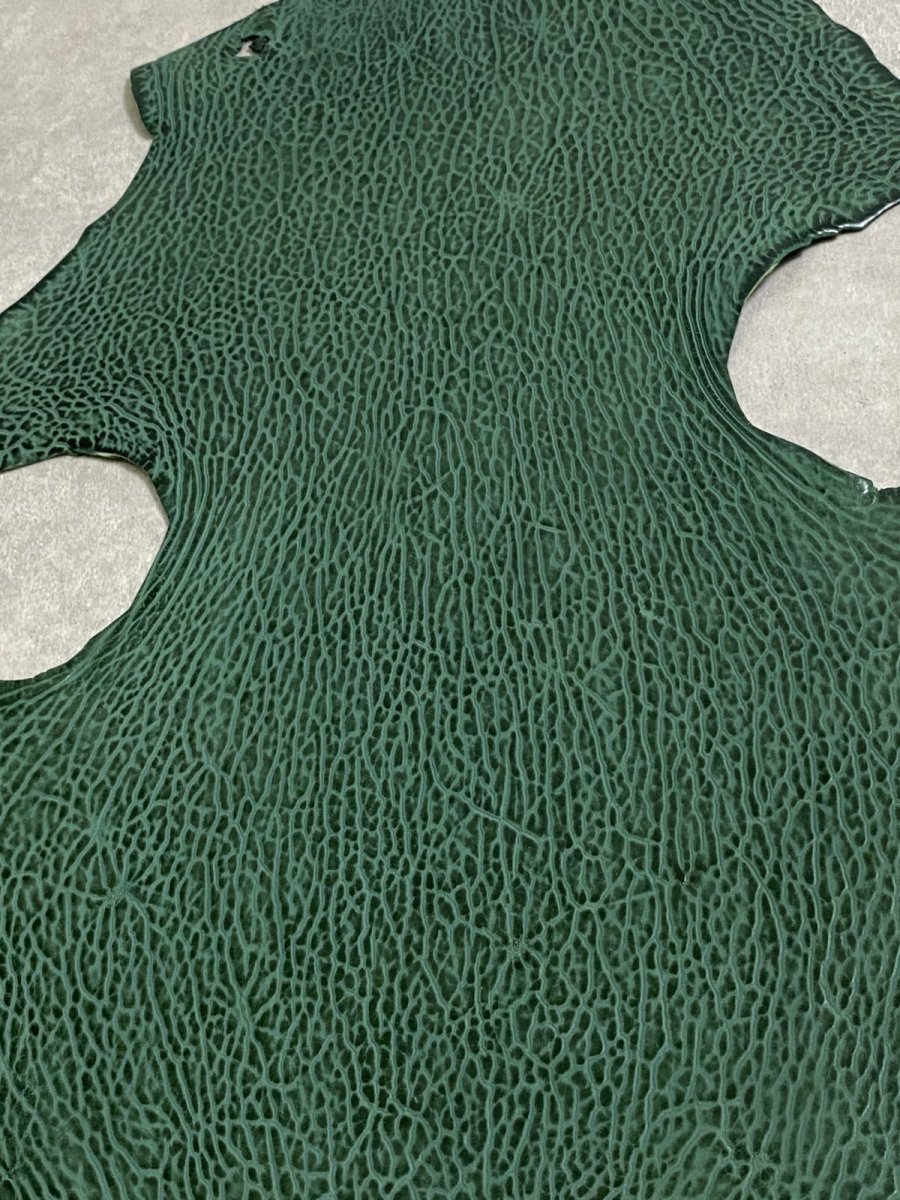 画像6: ケープシール　グリーン　オットセイ革 (6)