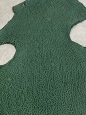画像6: ケープシール　グリーン　オットセイ革 (6)