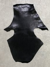 画像1: ケープシール　ブラック　オットセイ革　シールスキン (1)