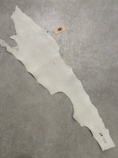 画像8: シャーク　白×黒　サメ革　鮫革　シャークスキン　 (8)