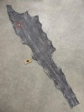 画像2: シャーク　白×黒　サメ革　鮫革　シャークスキン　 (2)