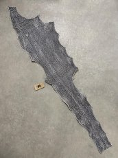 画像1: シャーク　白×黒　サメ革　鮫革　シャークスキン　 (1)
