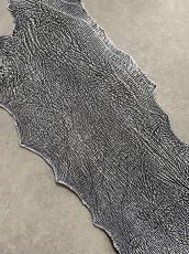 画像3: シャーク　白×黒　サメ革　鮫革　シャークスキン　 (3)