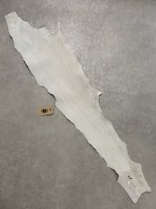 画像6: シャーク　白×黒　サメ革　鮫革　シャークスキン　 (6)