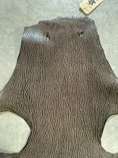 画像2: ケープシール　ニコチン　オットセイ革　シールスキン　エキゾチックレザー (2)