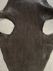 画像3: ケープシール　ニコチン　オットセイ革　シールスキン　エキゾチックレザー (3)