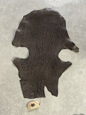 画像1: ケープシール　ニコチン　オットセイ革　シールスキン　エキゾチックレザー (1)