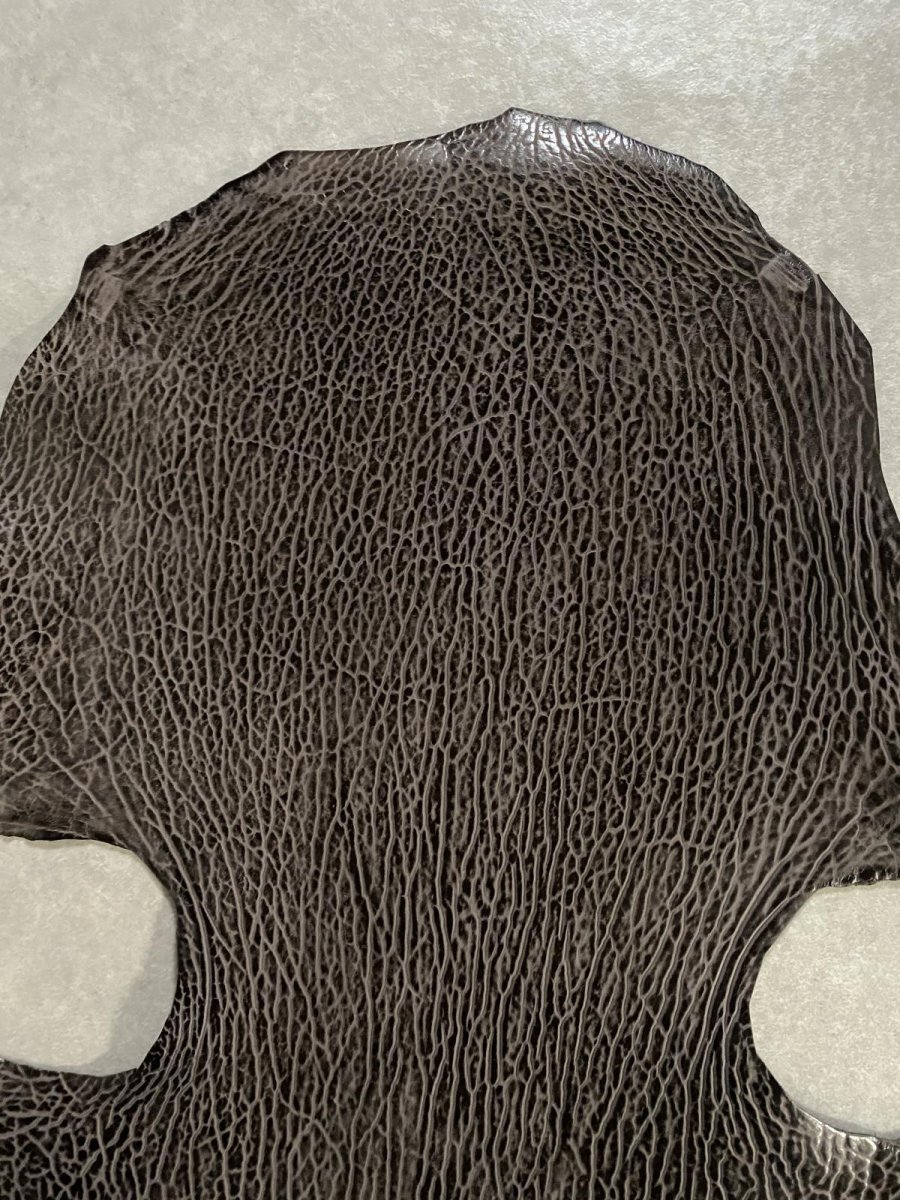 画像2: ケープシール　ニコチン　オットセイ革　シールスキン　エキゾチックレザー (2)