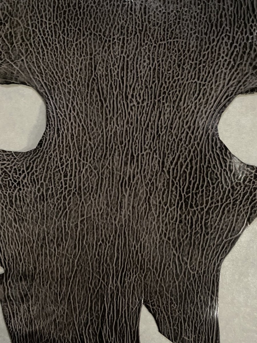 画像3: ケープシール　ニコチン　オットセイ革　シールスキン　エキゾチックレザー (3)