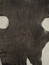 画像3: ケープシール　ニコチン　オットセイ革　シールスキン　エキゾチックレザー (3)