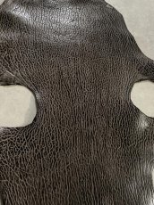 画像4: ケープシール　ニコチン　オットセイ革　シールスキン　エキゾチックレザー (4)