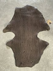 画像1: ケープシール　ニコチン　オットセイ革　シールスキン　エキゾチックレザー (1)