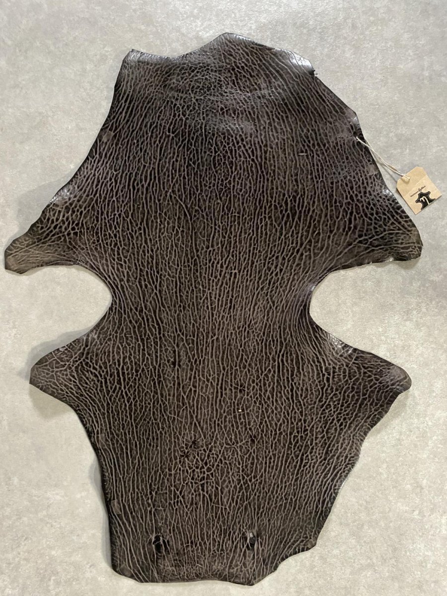 画像2: ケープシール　ニコチン　オットセイ革　シールスキン　エキゾチックレザー (2)