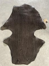 画像2: ケープシール　ニコチン　オットセイ革　シールスキン　エキゾチックレザー (2)