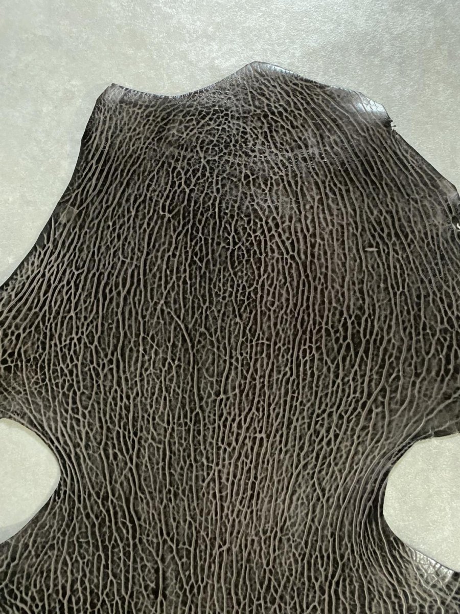 画像3: ケープシール　ニコチン　オットセイ革　シールスキン　エキゾチックレザー (3)