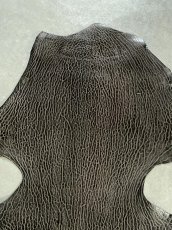 画像3: ケープシール　ニコチン　オットセイ革　シールスキン　エキゾチックレザー (3)