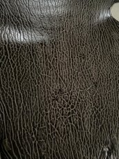 画像4: ケープシール　ニコチン　オットセイ革　シールスキン　エキゾチックレザー (4)
