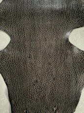 画像5: ケープシール　ニコチン　オットセイ革　シールスキン　エキゾチックレザー (5)