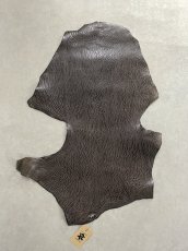 画像1: ケープシール　ニコチン　オットセイ革　シールスキン　エキゾチックレザー (1)