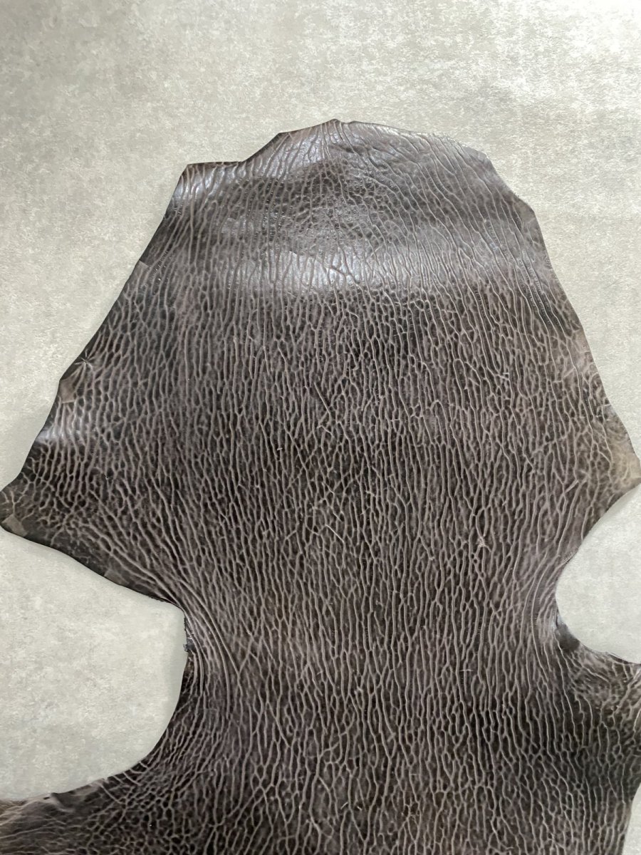 画像2: ケープシール　ニコチン　オットセイ革　シールスキン　エキゾチックレザー (2)