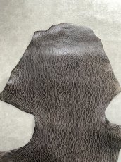 画像2: ケープシール　ニコチン　オットセイ革　シールスキン　エキゾチックレザー (2)