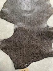 画像3: ケープシール　ニコチン　オットセイ革　シールスキン　エキゾチックレザー (3)