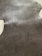 画像4: ケープシール　ニコチン　オットセイ革　シールスキン　エキゾチックレザー (4)