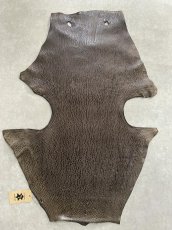 画像1: ケープシール　ニコチン　オットセイ革　シールスキン　エキゾチックレザー (1)