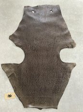 画像2: ケープシール　ニコチン　オットセイ革　シールスキン　エキゾチックレザー (2)