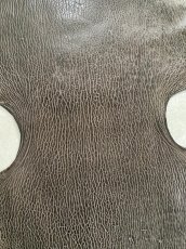 画像5: ケープシール　ニコチン　オットセイ革　シールスキン　エキゾチックレザー (5)