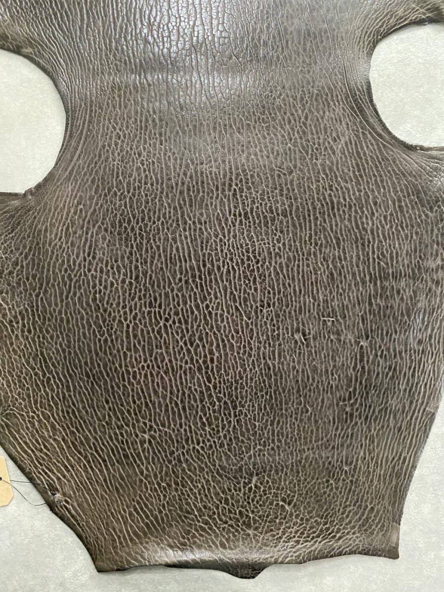 画像6: ケープシール　ニコチン　オットセイ革　シールスキン　エキゾチックレザー (6)