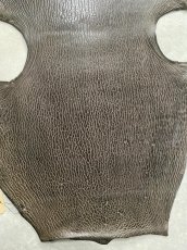 画像6: ケープシール　ニコチン　オットセイ革　シールスキン　エキゾチックレザー (6)