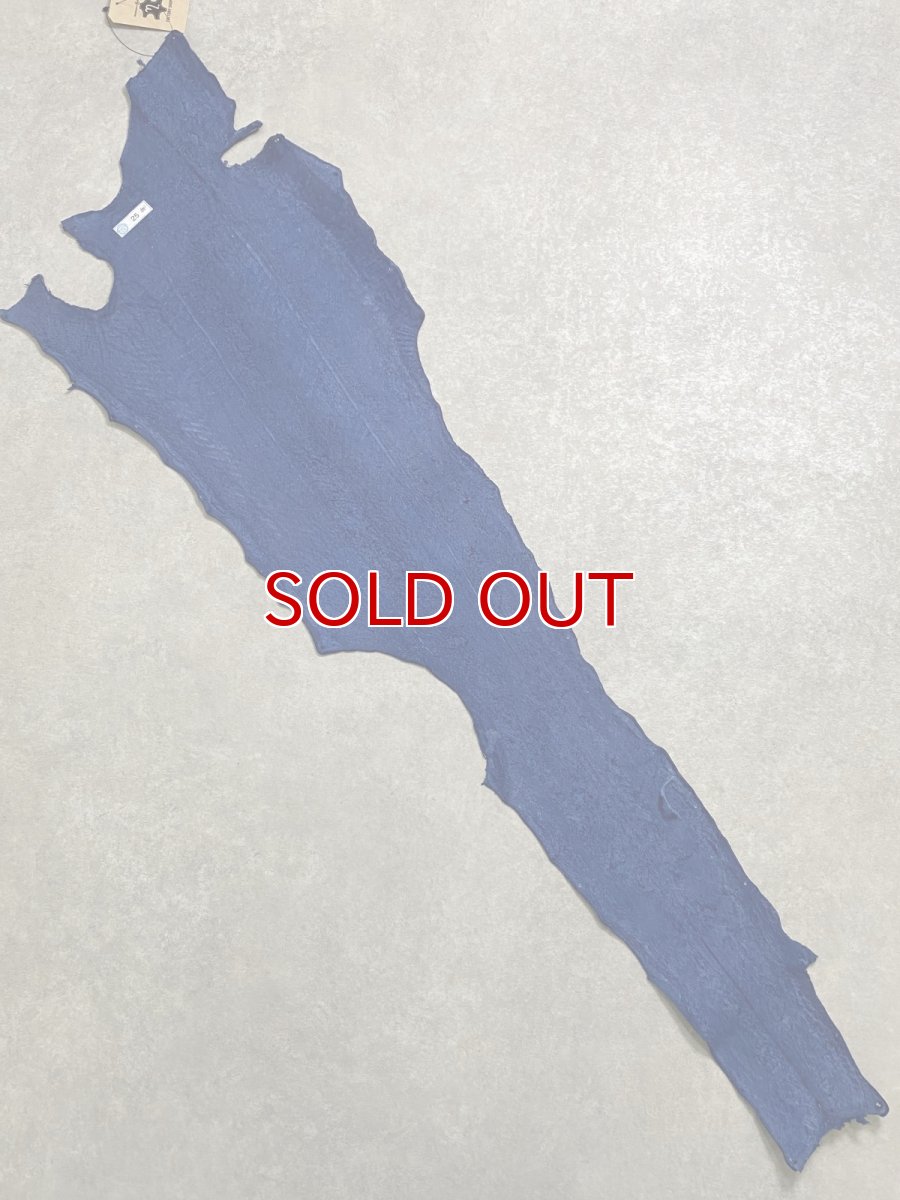 画像8: シャーク　ブルー　サメ革　鮫革　シャークスキン (8)