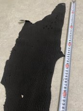 画像8: 【sale￥3500均一】シャーク　ブラック　サメ革　鮫革　シャークスキン (8)