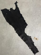 画像1: シャーク　ブラック　鮫革　シャークスキン (1)