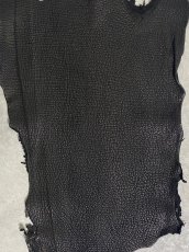 画像3: シャーク　ブラック　鮫革　シャークスキン (3)