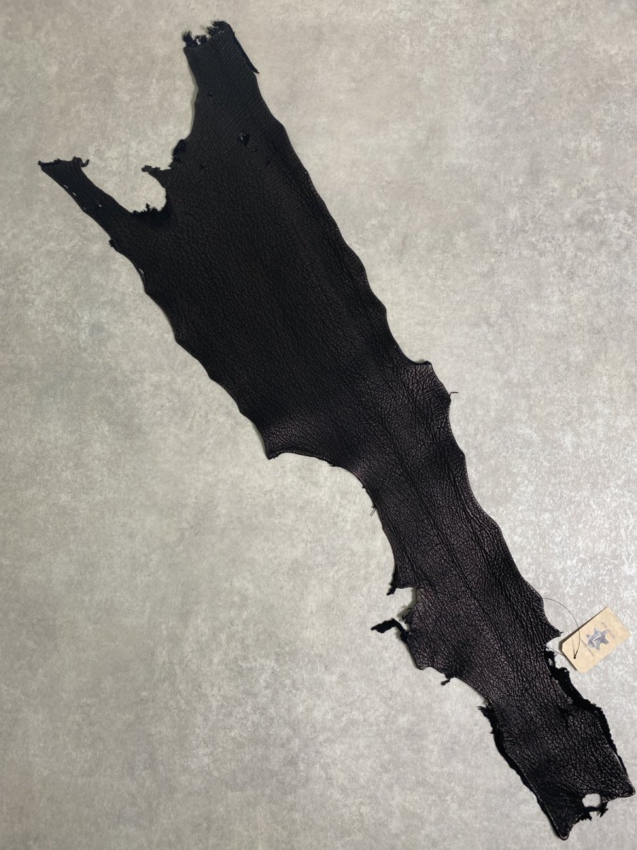 画像1: シャーク　ブラック　鮫革　シャークスキン (1)