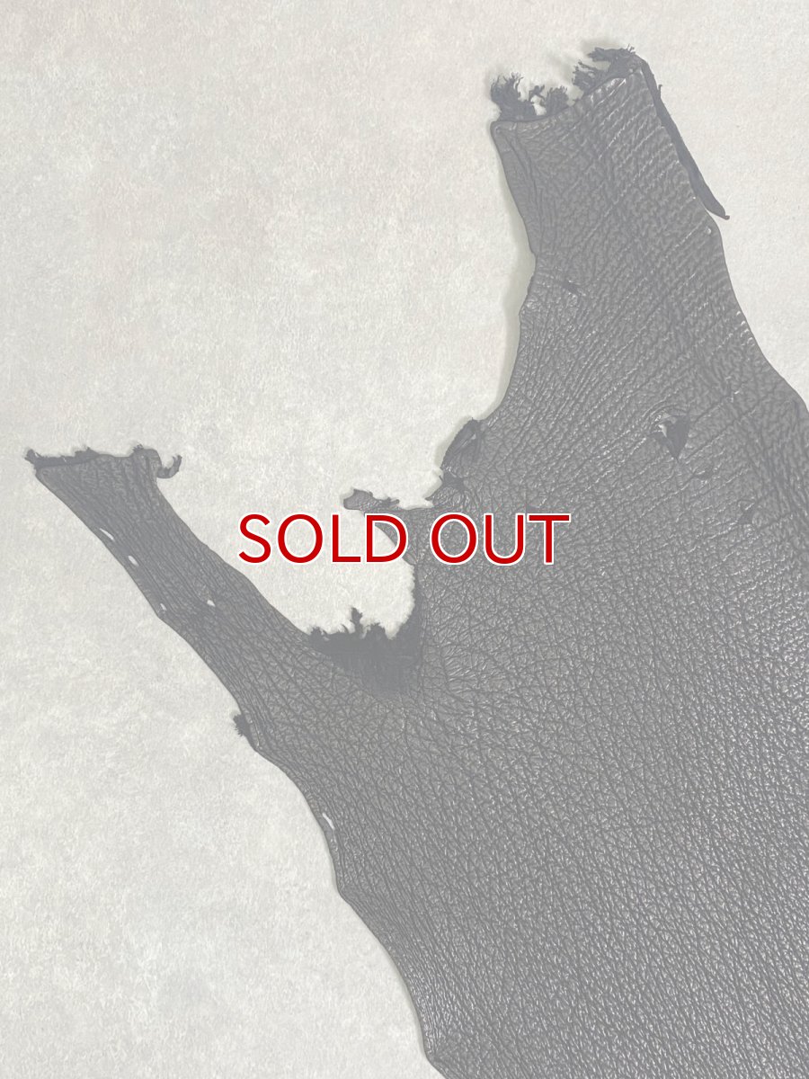 画像2: シャーク　ブラック　鮫革　シャークスキン (2)