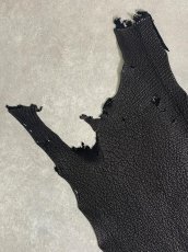 画像2: シャーク　ブラック　鮫革　シャークスキン (2)