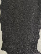 画像3: シャーク　ブラック　鮫革　シャークスキン (3)