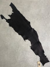 画像1: シャーク　ブラック　鮫革　シャークスキン (1)