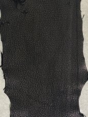 画像3: シャーク　ブラック　鮫革　シャークスキン (3)