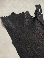 画像2: シャーク　ブラック　鮫革　シャークスキン (2)