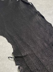 画像5: シャーク　ブラック　鮫革　シャークスキン (5)