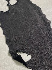 画像5: シャーク　ブラック　鮫革　シャークスキン (5)