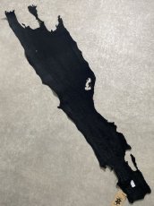 画像8: シャーク　ブラック　鮫革　シャークスキン (8)