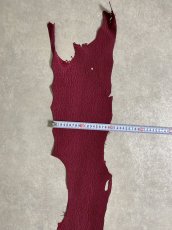 画像7: シャーク　ヌバック　カシス (7)