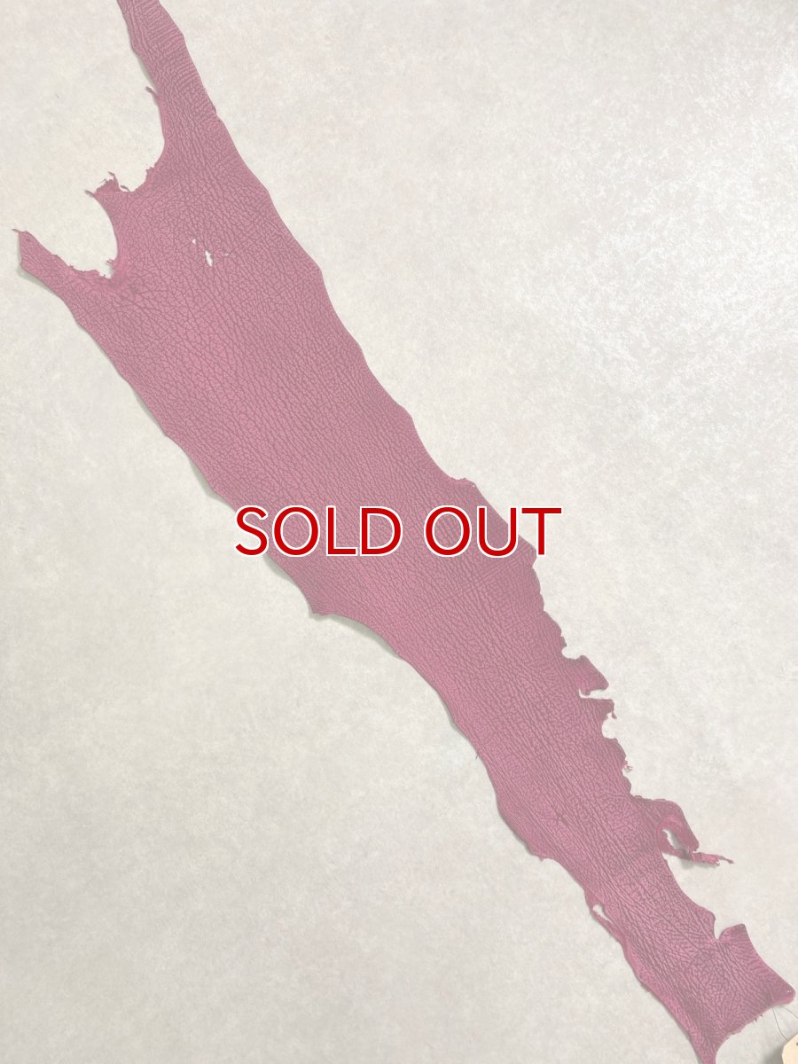 画像1: シャーク　ヌバック　カシス (1)