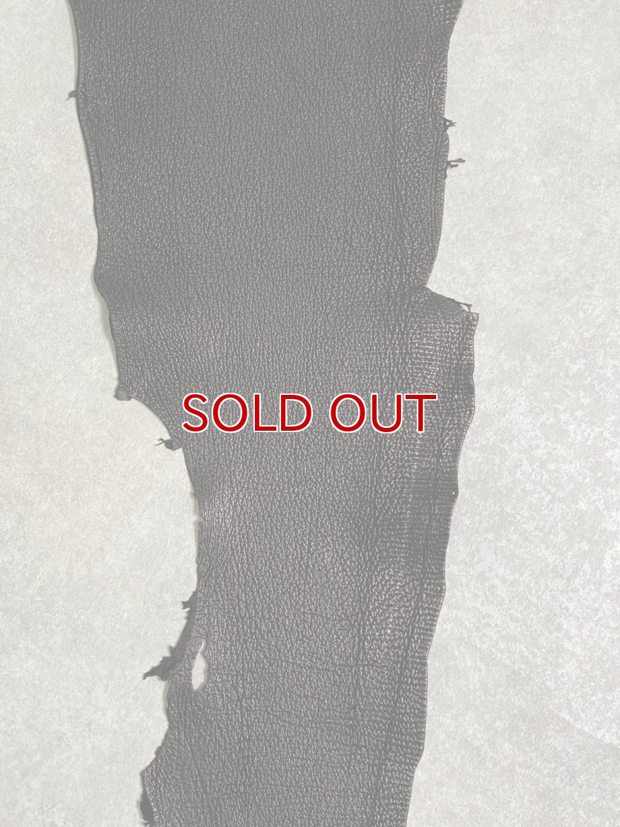 画像4: シャーク　ブラック　鮫革　シャークスキン (4)